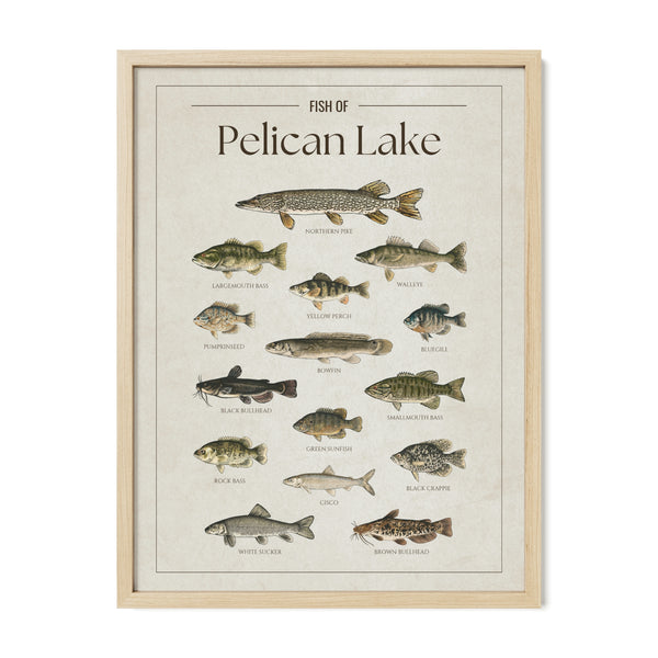 Pelican Lake Print