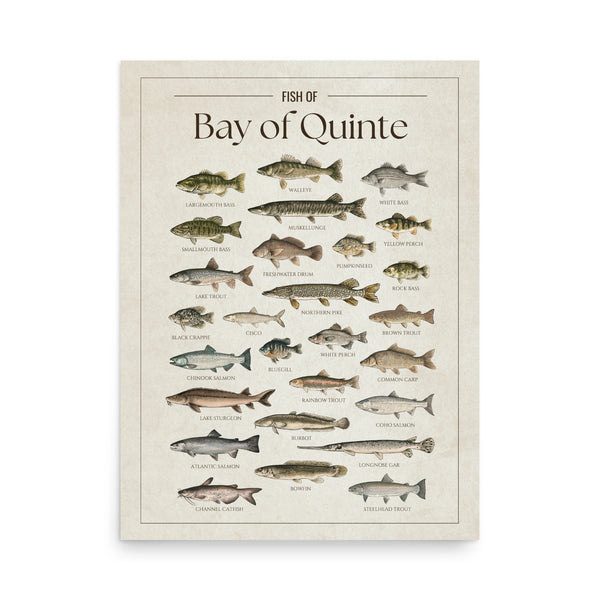 Bay of Quinte Print
