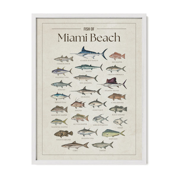 Miami Beach Print