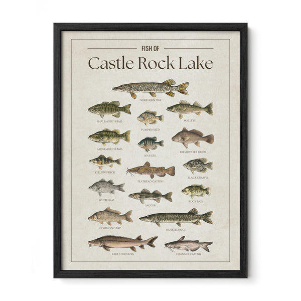 Castle Rock Lake Print