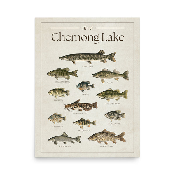 Chemong Lake Print
