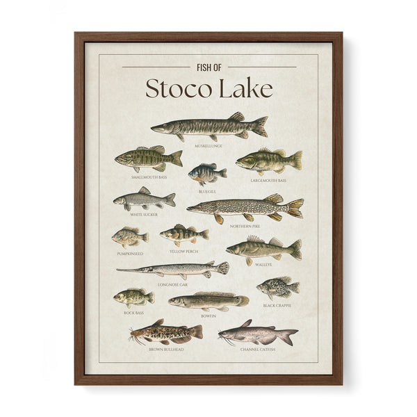 Stoco Lake Print
