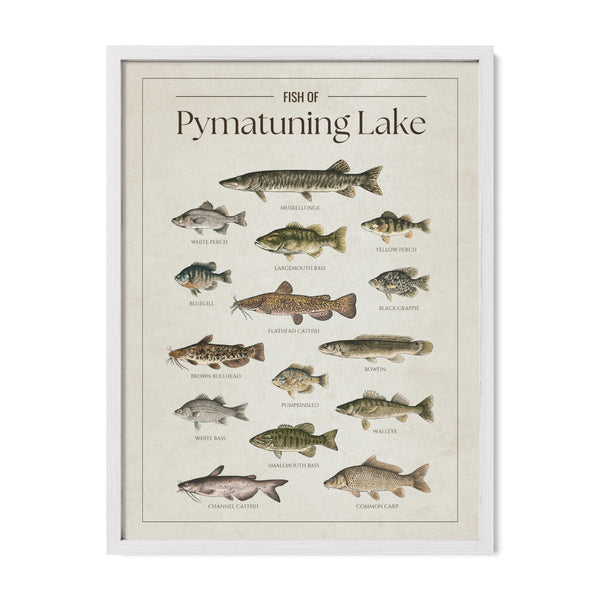 Pymatuning Lake Print