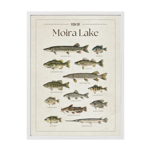 Moira Lake Print