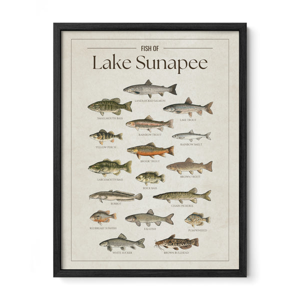 Lake Sunapee Print