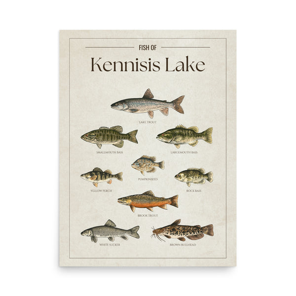 Kennisis Lake Print