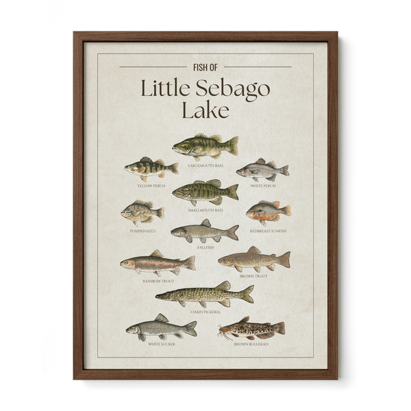Little Sebago Lake Print