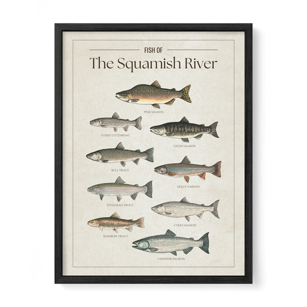 Squamish River Print