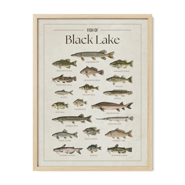 Black Lake Print