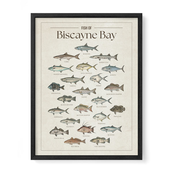 Biscayne Bay Print