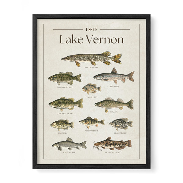 Lake Vernon Print