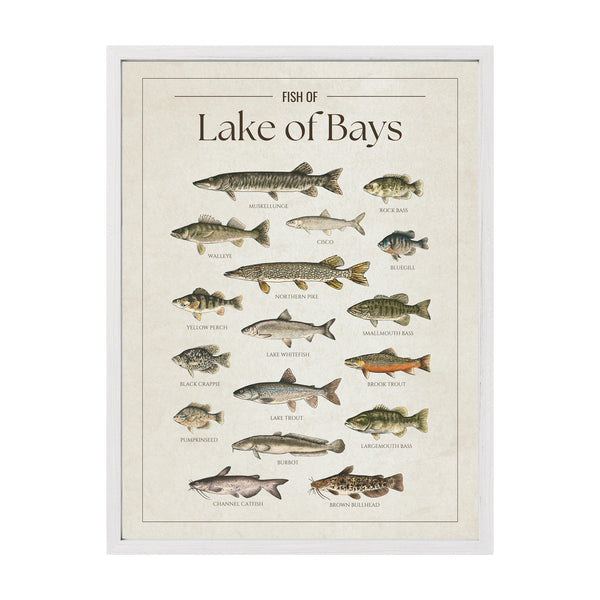 Lake of Bays Print