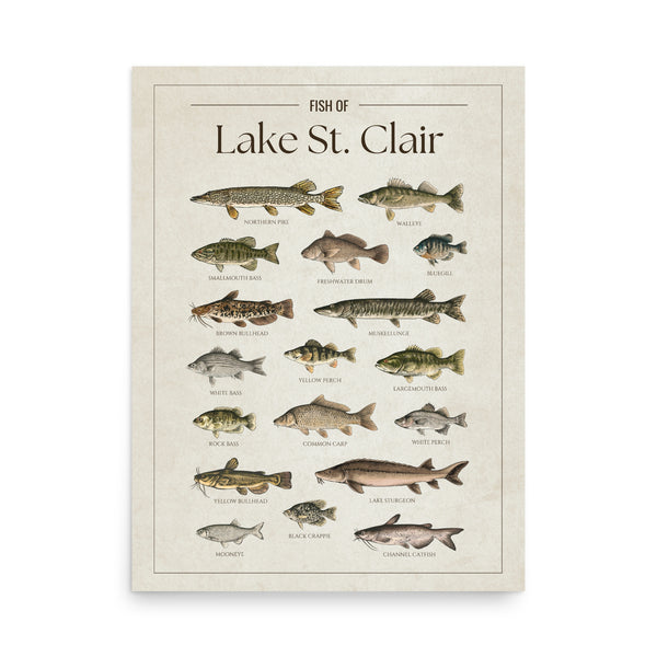Lake St. Clair Print