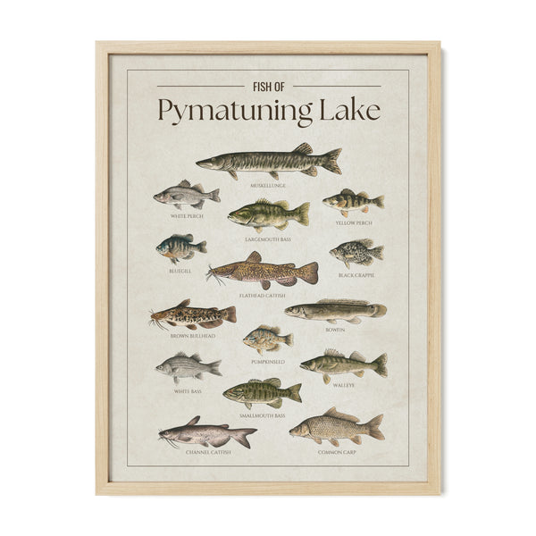 Pymatuning Lake Print
