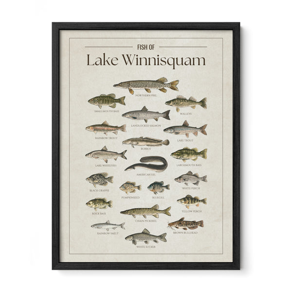Lake Winnisquam Print