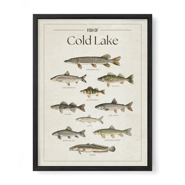 Cold Lake Print