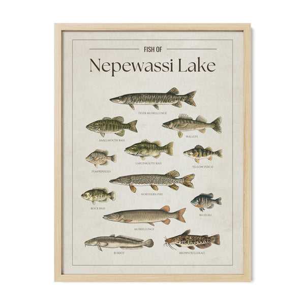 Nepewassi Lake Print