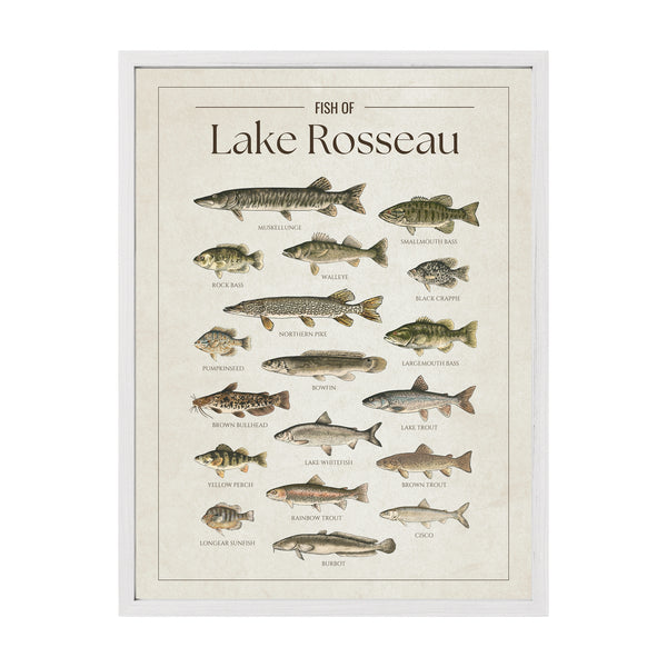 Lake Rosseau Print