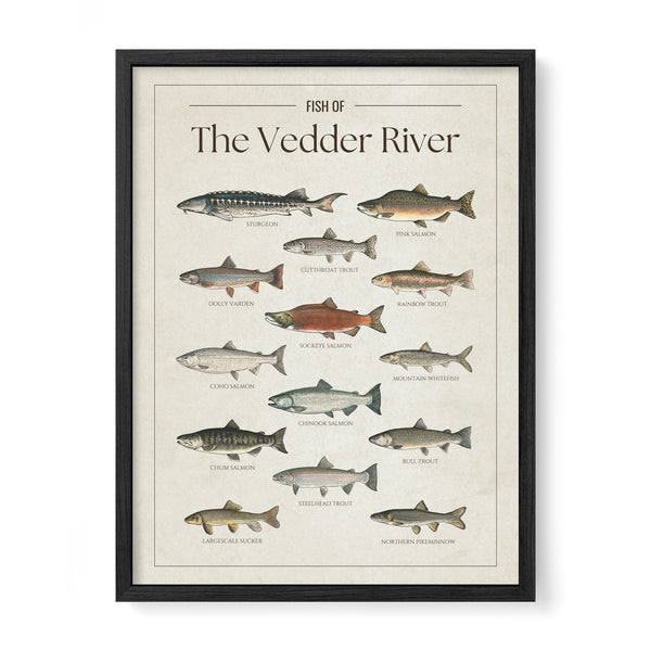 The Vedder River Print