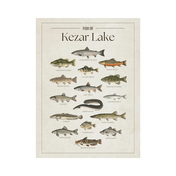 Kezar Lake Print