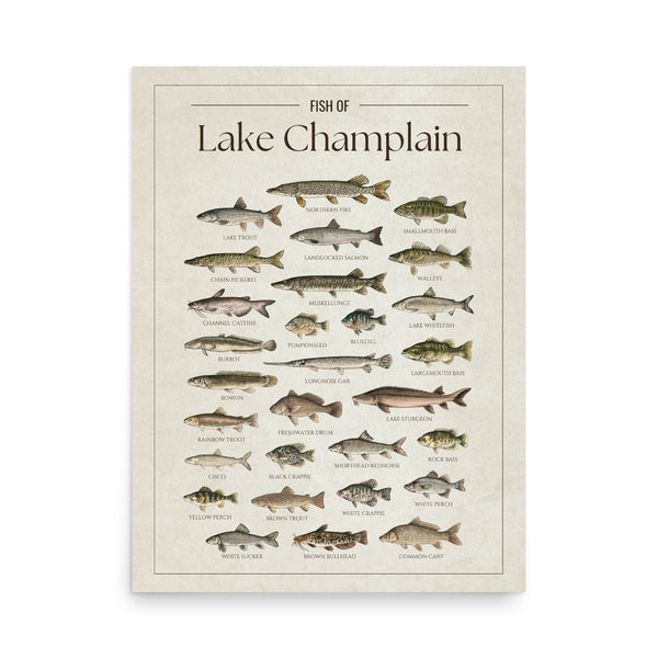 Lake Champlain Print