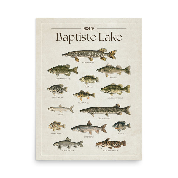 Baptiste Lake Print