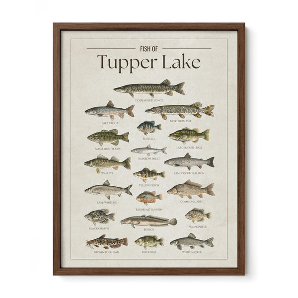 Tupper Lake Print