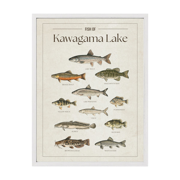 Kawagama Lake Print