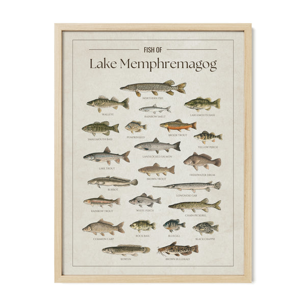 Lake Memphremagog Print