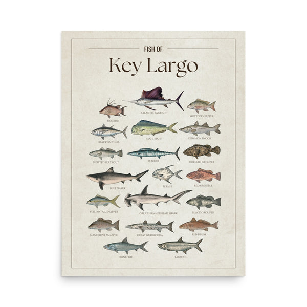 Key Largo Print