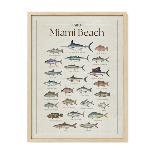 Miami Beach Print