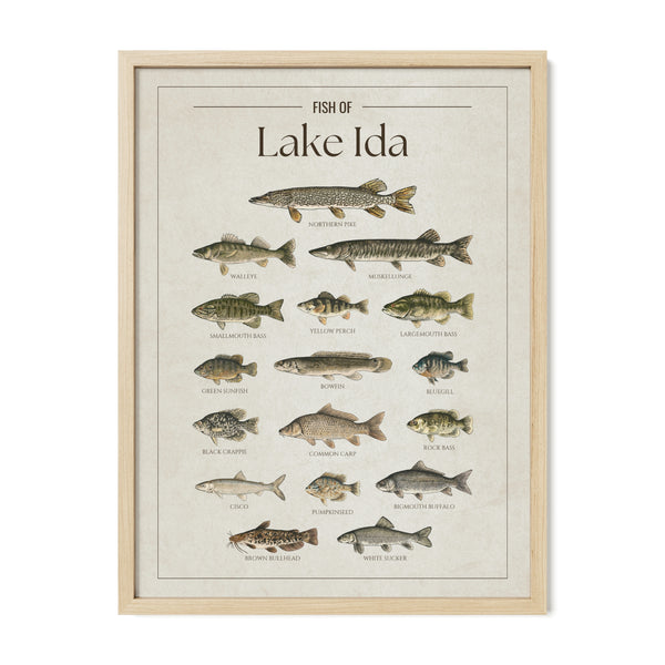 Lake Ida Print