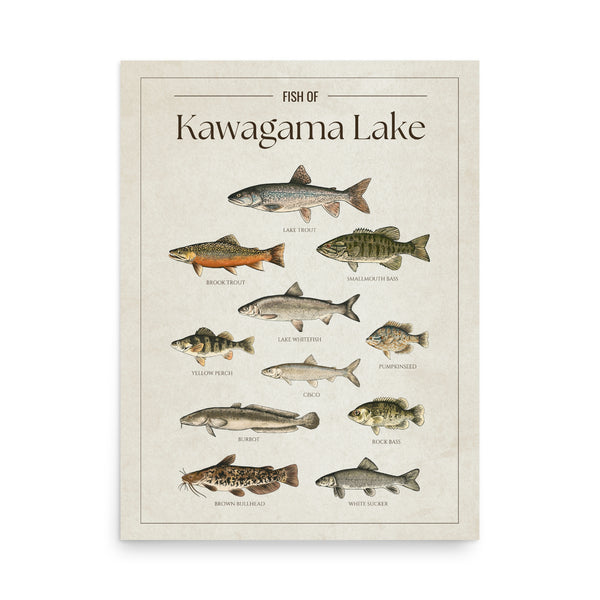 Kawagama Lake Print