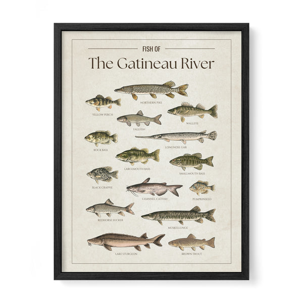 The Gatineau River Print
