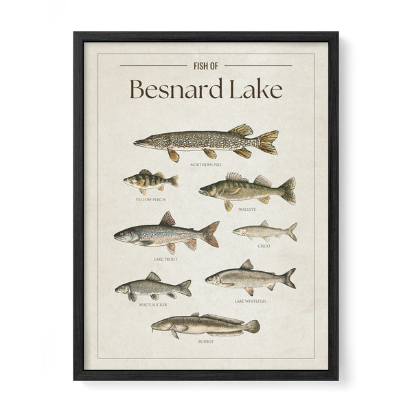 Besnard Lake Print