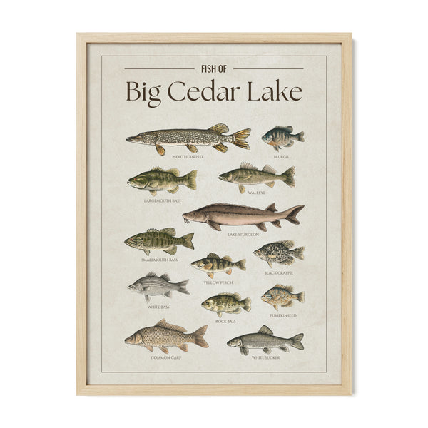 Big Cedar Lake Print