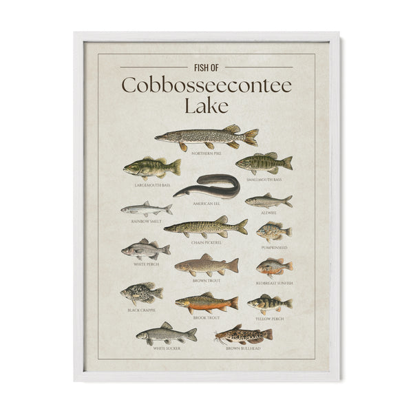 Cobbosseecontee Lake Print