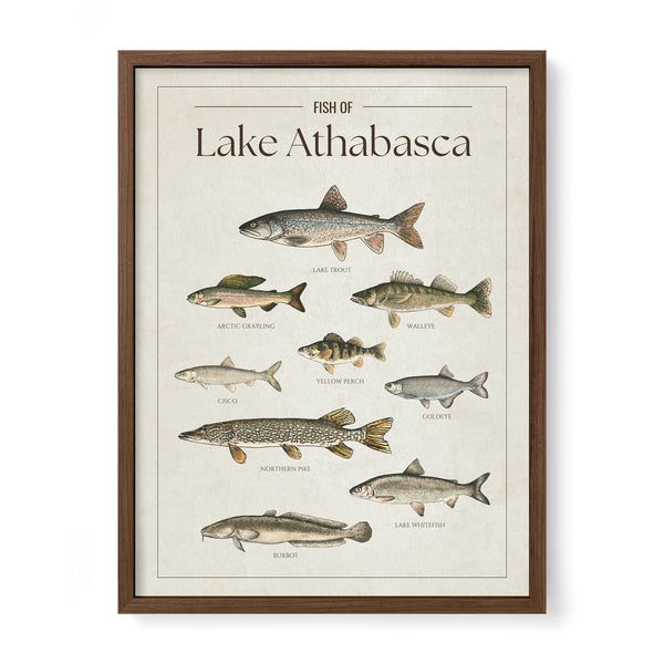 Lake Athabasca Print