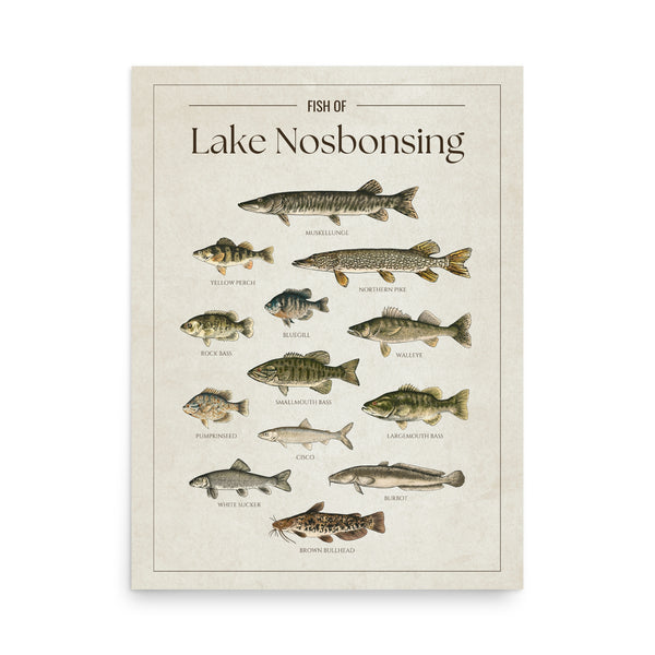 Lake Nosbonsing Print