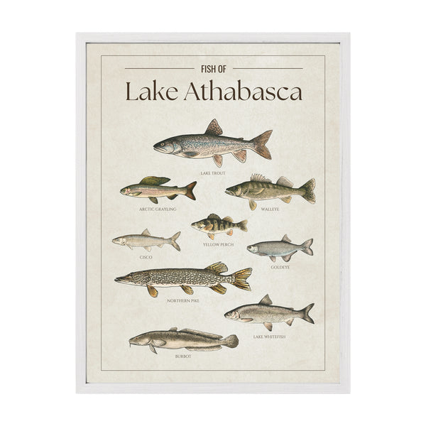 Lake Athabasca Print