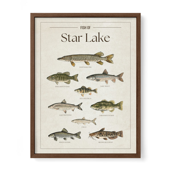 Star Lake Print