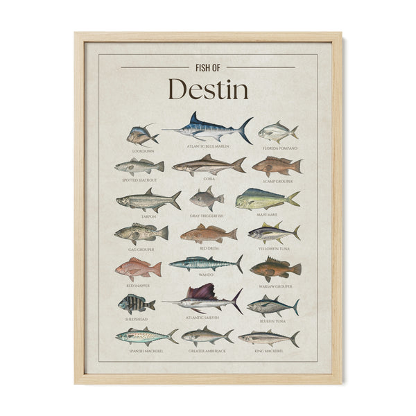 Destin Print