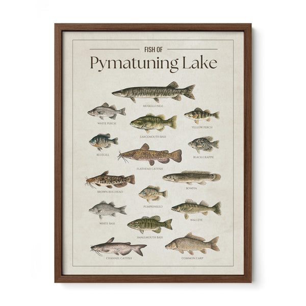 Pymatuning Lake Print