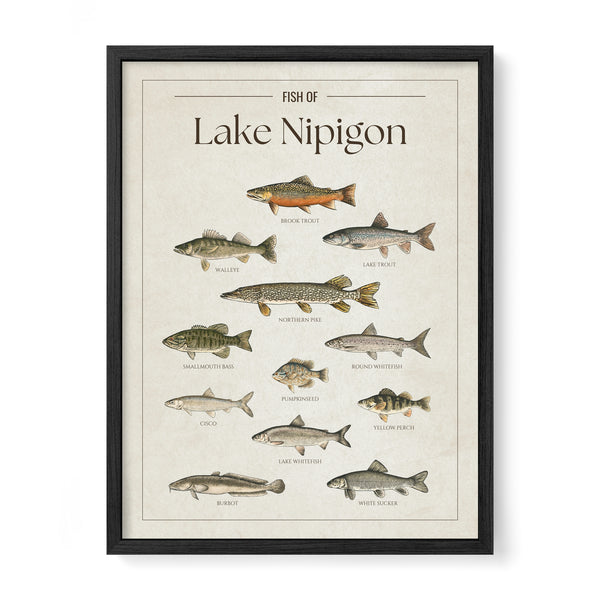 Lake Nipigon Print