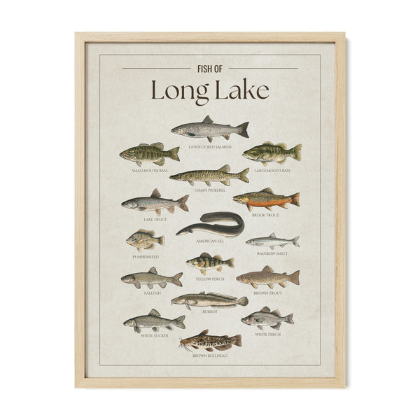 Long Lake (Maine)