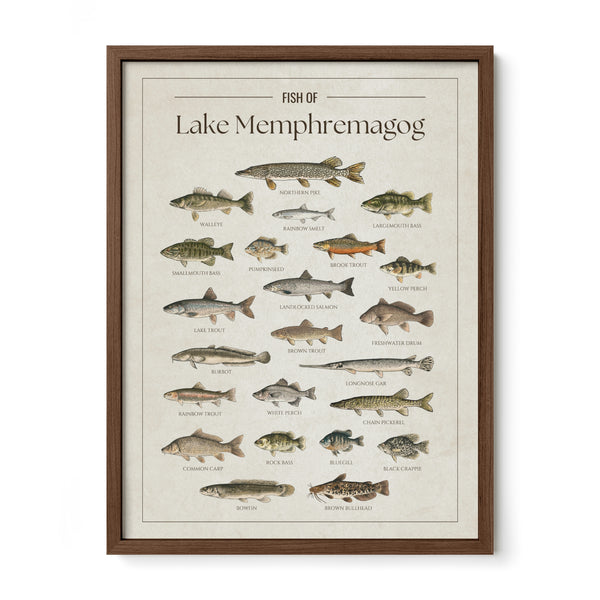 Lake Memphremagog Print
