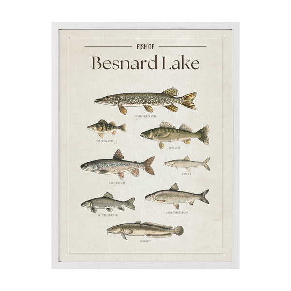 Besnard Lake Print