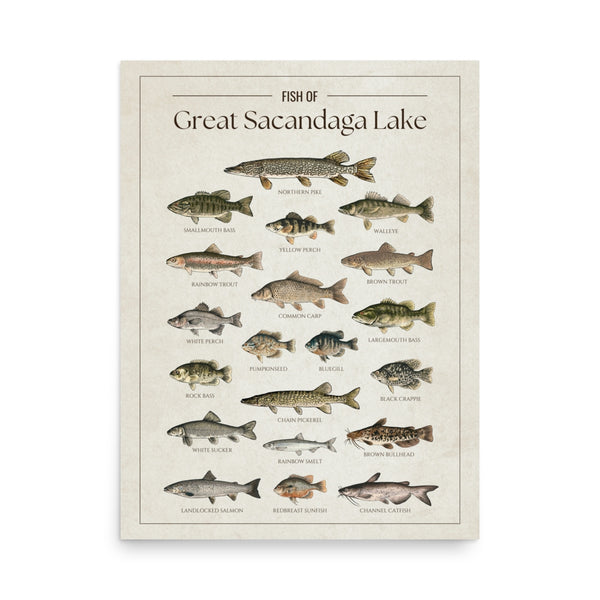 Great Sacandaga Lake Print