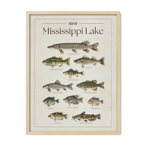 Mississippi Lake Print