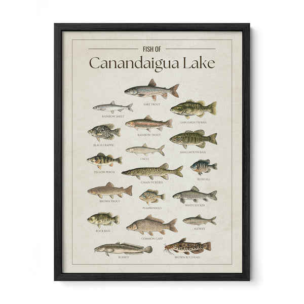 Canandaigua Lake Print
